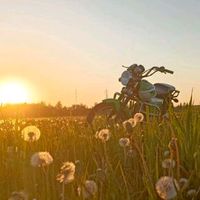 alfha_vod_vento_riva.2rx