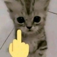 lupitagutierrezsolis