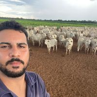 adriellcaetano03