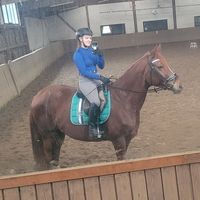 myridingdiary