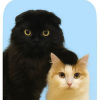 itachi_and_vivi_family