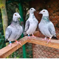 original sound - sheraz_ahmad_4000