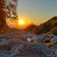 protagonistas1erplano