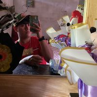 luis.alvarado268