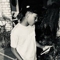 biel_ph11