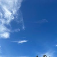 skygirl071