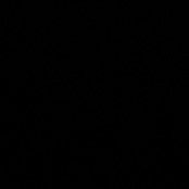 robertin_507