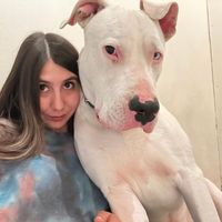 dogo_napoleon23