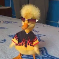 and i know your gonna need me