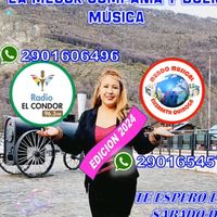 elicopitodenieve