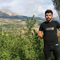 mahmut.konur