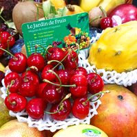lejardindefruits16