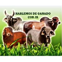 hablemos_de_ganado_conjr