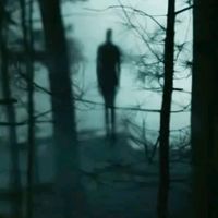 bill.is_back