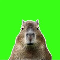 capybaradepresiva