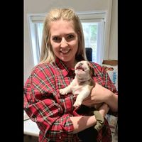 sirhugothebritishbulldog