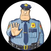 police_bodycam__