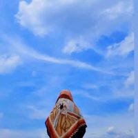 suara asli - F🕊🤍