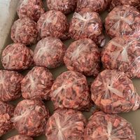 teemeatybonesupplier