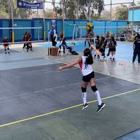 i.my.voley
