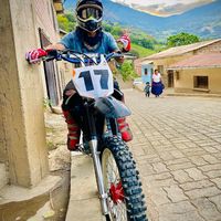 yervin11
