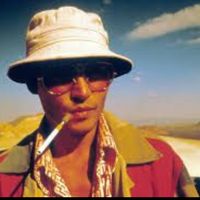 SILLY KITTY gets ATTACKED by GERBILS