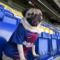 marlonblaugrana