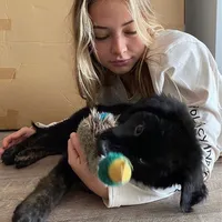 je te laisserai des mots