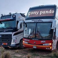 gonypando1