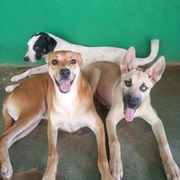 raya.tobias.e.zoe