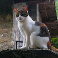 mi.sono.persa_