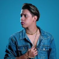 elvistroyaec