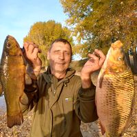 оригинальный звук