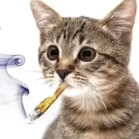 original sound - east6n