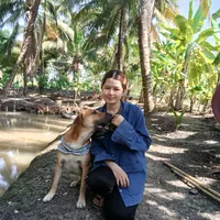 original sound - phungphung9385