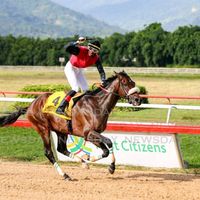 sportofkings10