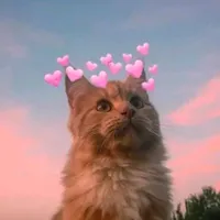 original sound - songlyrics826