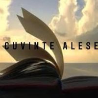 _cuvinte_alese_