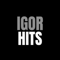 igor.hits
