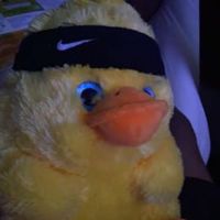 mikeyvine777