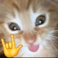 оригинальный звук