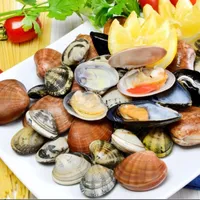 original sound - pescheriaterracciano