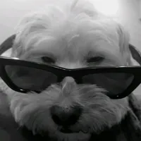 original sound - renee8927