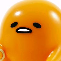 lazylibra
