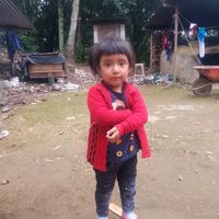 user8305630326071