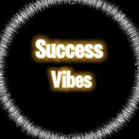 successvibes11