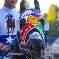 corral_los_electricos