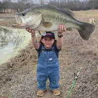 original sound - blakefloyd04