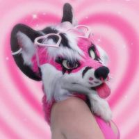 pinkgeminihuskyofficial