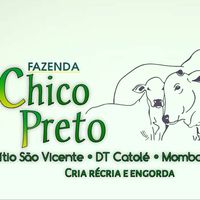 fazendachicopreto